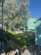 View of green lawn