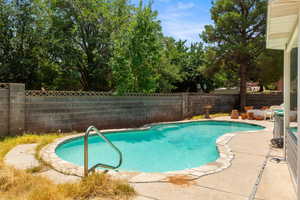 View of pool featuring a fenced backyard and a patio