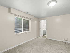 Bedroom 3 in the basement with attached half bathroom