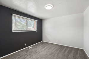 Carpeted empty room with a textured ceiling
