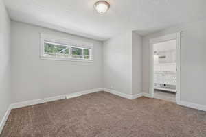 Unfurnished room featuring carpet flooring and a textured ceiling