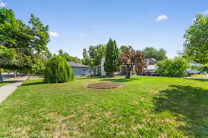 View of grassy yard