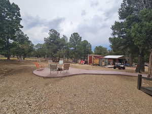 View of yard featuring a patio and view of scattered trees