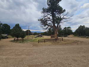 View of yard with a view of rural / pastoral area