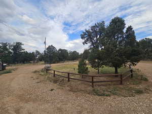 View of yard with a view of rural / pastoral area