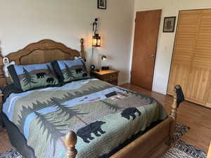 Bedroom featuring wood finished floors and a closet