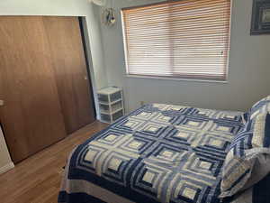 Bedroom featuring wood finished floors and a closet