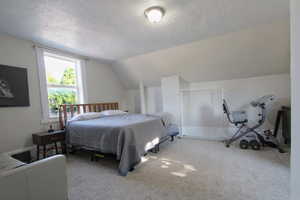 Bedroom featuring lofted ceiling, a textured ceiling, and carpet floors