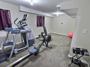 Exercise area with baseboards and carpet flooring