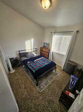 Bedroom featuring carpet flooring, multiple windows, and a textured ceiling