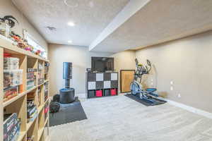 Basement family room