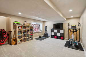 Basement family room