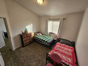 Bedroom with carpet flooring, a textured ceiling, and vaulted ceiling