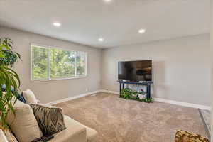 Living room featuring carpet flooring and recessed lighting