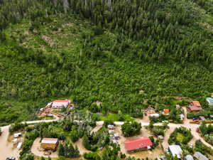 Aerial view of property and surrounding area with a forest