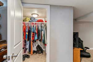 Spacious closet with carpet floors