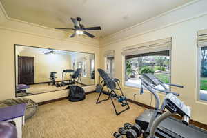 Workout area with carpet floors, ceiling fan, and ornamental molding