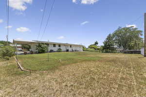 View of green lawn