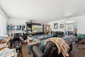 Living room featuring a textured ceiling and carpet flooring