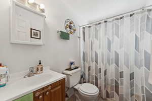 Bathroom featuring vanity and a shower with shower curtain