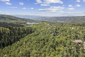Aerial view of a forest and a water and mountain view
