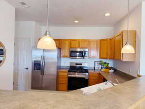 Brand new appliances, fridge, microwave, stove and dishwasher