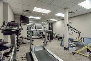 Workout area featuring carpet flooring and a paneled ceiling