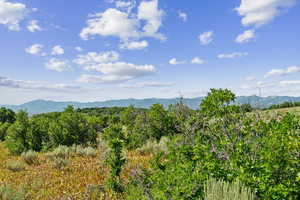 View of mountain backdrop