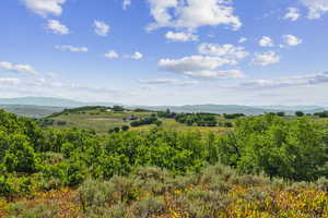 View of mountain background