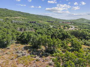 View of mountain backdrop with a forest