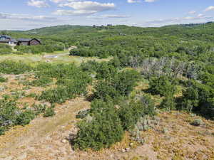 View of subject property featuring a forest