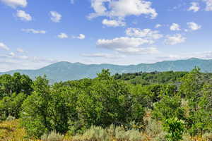 View of mountain background