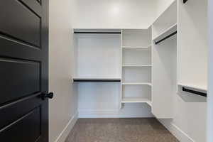 Spacious closet featuring carpet floors