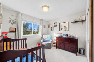 Bedroom featuring carpet floors