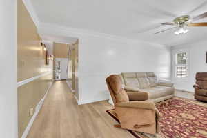 Living room featuring ornamental molding, light wood-style flooring, and a ceiling fan