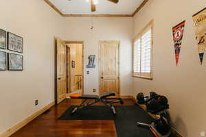 Workout room featuring ceiling fan, crown molding, and wood finished floors