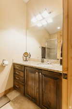 Full bath featuring vanity and a shower with shower door
