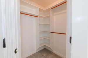 Walk in closet with carpet