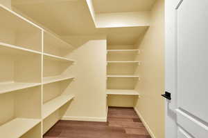 Walk in closet with wood finished floors