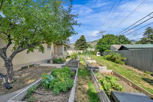 View of yard featuring a garden
