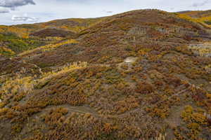 View of mountain background