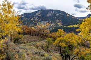 View of mountain backdrop with a heavily wooded area