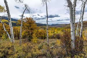 View of mountain backdrop with a heavily wooded area