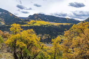 View of mountain background with a forest