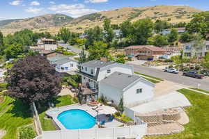 Aerial View of Back Yard with Pool