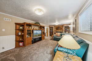Lower Level Family Room