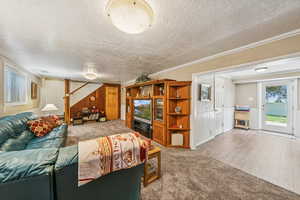 Lower Level Family Room