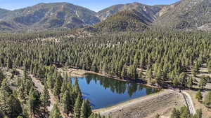 View of mountain backdrop with a forest and a large body of water
