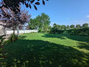 View of fenced backyard