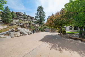 View of yard with a patio and driveway